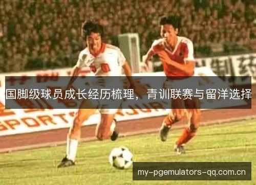 国脚级球员成长经历梳理,青训联赛与留洋选择 国脚级球员成长经历梳理,青训联赛与留洋选择